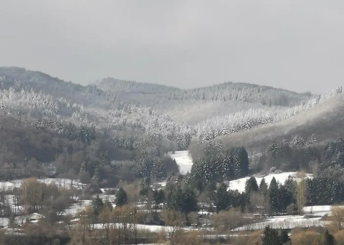 In Apartamento Biedenkopf